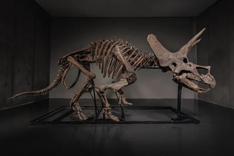 Pharrell’s Auction House Sold a Triceratops for $5.5 Million, a Record for an Online Dinosaur Sale